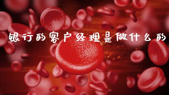 银行的客户经理是做什么的_https://www.kuaijiepai.net_期货在线_第1张