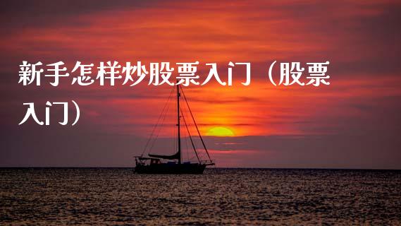 新手怎样炒股票入门（股票入门）_https://www.kuaijiepai.net_国际股建_第1张