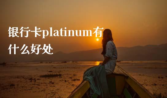 银行卡platinum有什么好处_https://www.kuaijiepai.net_投资理财_第1张