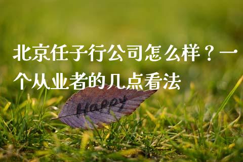 北京任子行公司怎么样？一个从业者的几点看法_https://www.kuaijiepai.net_股票理论_第1张