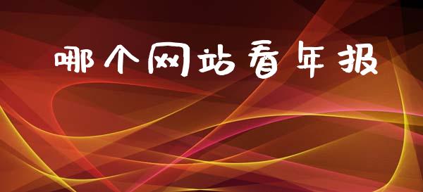 哪个网站看年报_https://www.kuaijiepai.net_国际期货_第1张