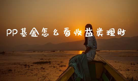 PP基金怎么看收益类理财_https://www.kuaijiepai.net_期货理财_第1张