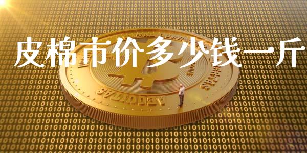 皮棉市价多少钱一斤_https://www.kuaijiepai.net_期货资讯_第1张