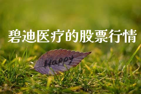 碧迪医疗的股票行情_https://www.kuaijiepai.net_新股新闻_第1张
