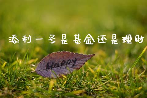 添利一号是基金还是理财_https://www.kuaijiepai.net_投资理财_第1张