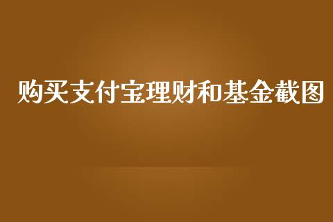 购买支付宝理财和基金截图_https://www.kuaijiepai.net_投资理财_第1张