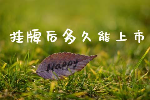 挂牌后多久能上市_https://www.kuaijiepai.net_投资理财_第1张