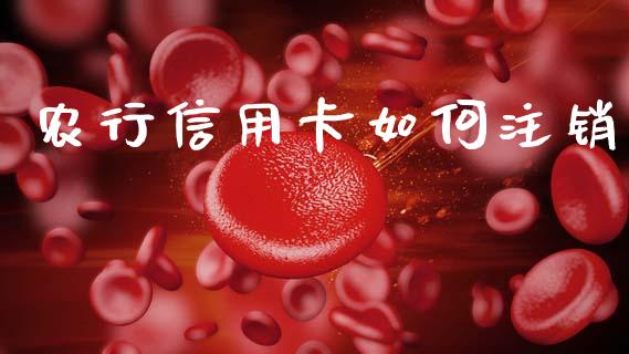 农行信用卡如何注销_https://www.kuaijiepai.net_投资理财_第1张