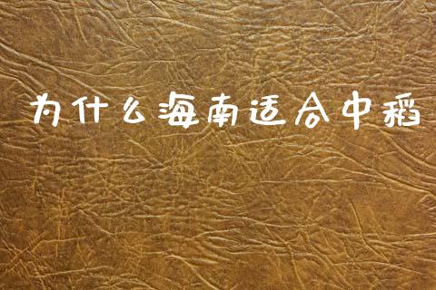 为什么海南适合中稻_https://www.kuaijiepai.net_期货资讯_第1张