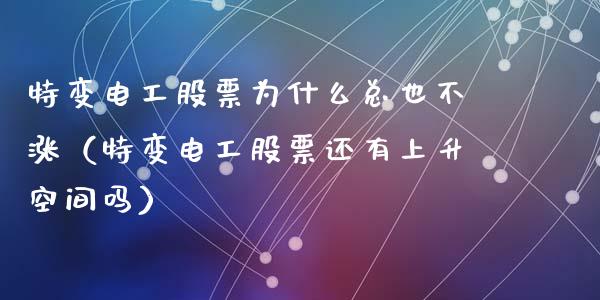特变电工股票为什么总也不涨（特变电工股票还有上升空间吗）_https://www.kuaijiepai.net_股票理论_第1张