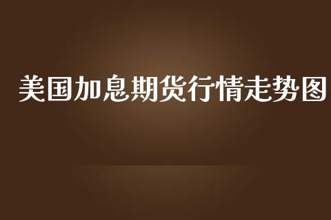美国加息期货行情走势图_https://www.kuaijiepai.net_国际期货_第1张