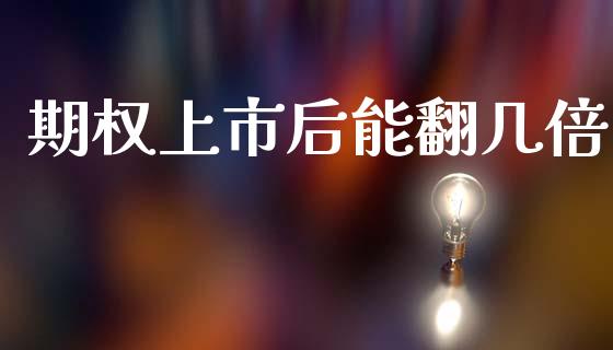 期权上市后能翻几倍_https://www.kuaijiepai.net_期货资讯_第1张