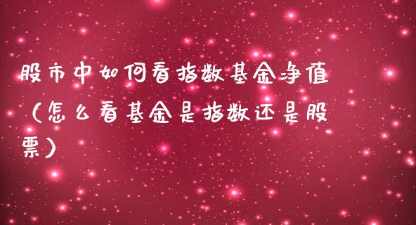股市中如何看指数基金净值（怎么看基金是指数还是股票）_https://www.kuaijiepai.net_期货理财_第1张