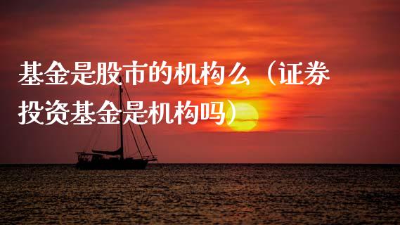 基金是股市的机构么（证券投资基金是机构吗）_https://www.kuaijiepai.net_投资理财_第1张