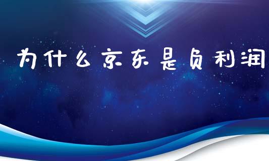 为什么京东是负利润_https://www.kuaijiepai.net_新股新闻_第1张