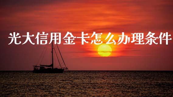 光大信用金卡怎么办理条件_https://www.kuaijiepai.net_期货在线_第1张