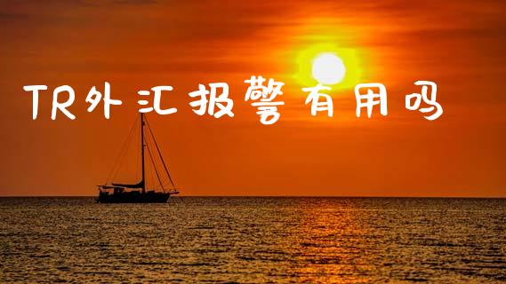 TR外汇报警有用吗_https://www.kuaijiepai.net_国际期货_第1张