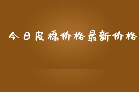 今日皮棉价格最新价格_https://www.kuaijiepai.net_期货资讯_第1张