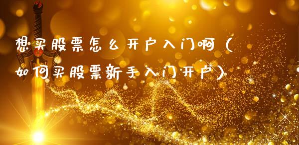 想买股票怎么开户入门啊（如何买股票新手入门开户）_https://www.kuaijiepai.net_国际股建_第1张