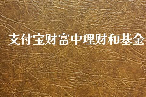 支付宝财富中理财和基金_https://www.kuaijiepai.net_投资理财_第1张