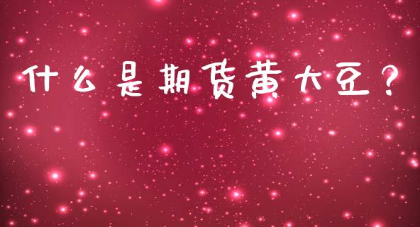 什么是期货黄大豆？_https://www.kuaijiepai.net_期货在线_第1张