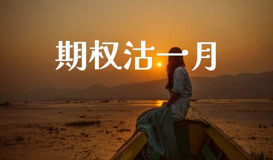 期权沽一月_https://www.kuaijiepai.net_期货资讯_第1张