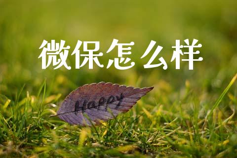 微保怎么样_https://www.kuaijiepai.net_国际期货_第1张