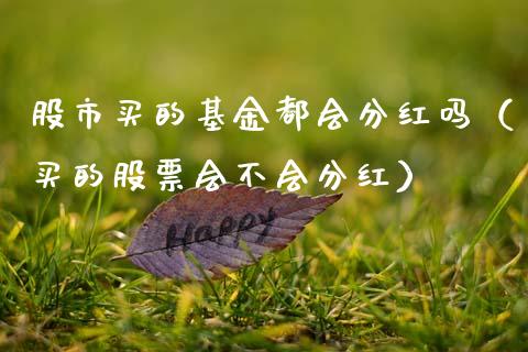 股市买的基金都会分红吗（买的股票会不会分红）_https://www.kuaijiepai.net_期货理财_第1张