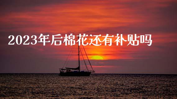 2023年后棉花还有补贴吗_https://www.kuaijiepai.net_国际期货_第1张