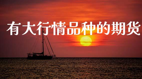 有大行情品种的期货_https://www.kuaijiepai.net_期货资讯_第1张