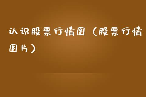 认识股票行情图（股票行情图片）_https://www.kuaijiepai.net_新股新闻_第1张