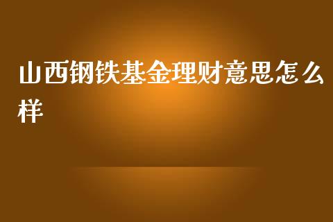 山西钢铁基金理财意思怎么样_https://www.kuaijiepai.net_投资理财_第1张