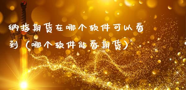 纳指期货在哪个软件可以看到（哪个软件能看期货）_https://www.kuaijiepai.net_期货资讯_第1张