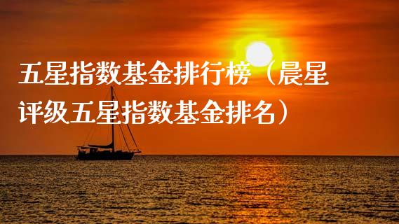 五星指数基金排行榜（晨星评级五星指数基金排名）_https://www.kuaijiepai.net_期货理财_第1张