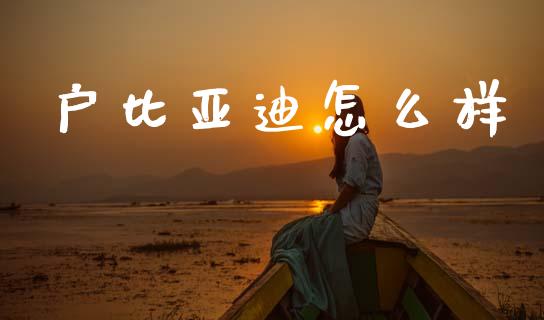 户比亚迪怎么样_https://www.kuaijiepai.net_期货资讯_第1张