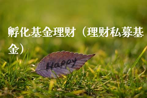 孵化基金理财（理财私募基金）_https://www.kuaijiepai.net_期货理财_第1张