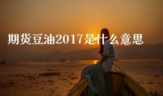 期货豆油2017是什么意思_https://www.kuaijiepai.net_国际期货_第1张