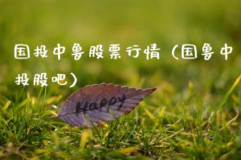 国投中鲁股票行情（国鲁中投股吧）_https://www.kuaijiepai.net_国际股建_第1张