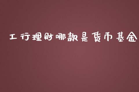 工行理财哪款是货币基金_https://www.kuaijiepai.net_期货理财_第1张