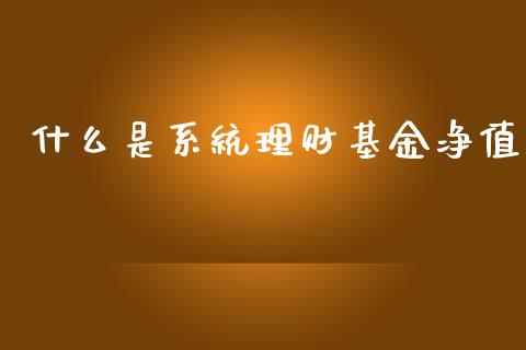 什么是系统理财基金净值_https://www.kuaijiepai.net_期货理财_第1张
