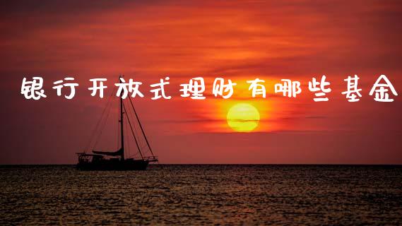 银行开放式理财有哪些基金_https://www.kuaijiepai.net_期货理财_第1张