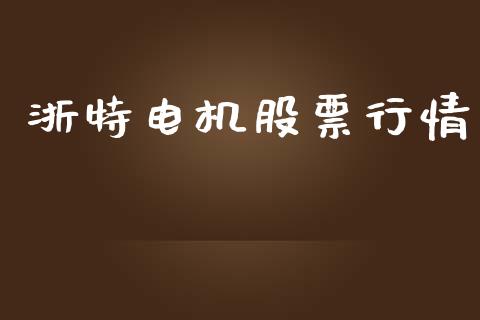 浙特电机股票行情_https://www.kuaijiepai.net_股票理论_第1张