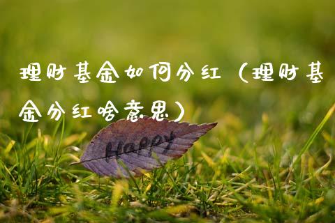 理财基金如何分红（理财基金分红啥意思）_https://www.kuaijiepai.net_期货理财_第1张