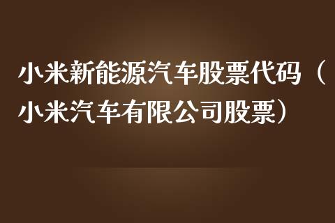 小米新能源汽车股票代码（小米汽车有限公司股票）_https://www.kuaijiepai.net_国际股建_第1张