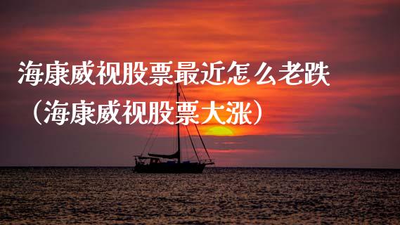 海康威视股票最近怎么老跌（海康威视股票大涨）_https://www.kuaijiepai.net_新股新闻_第1张