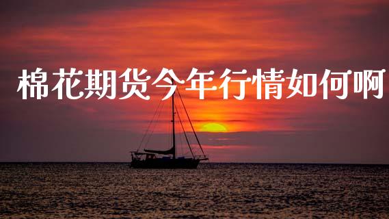 棉花期货今年行情如何啊_https://www.kuaijiepai.net_国际期货_第1张