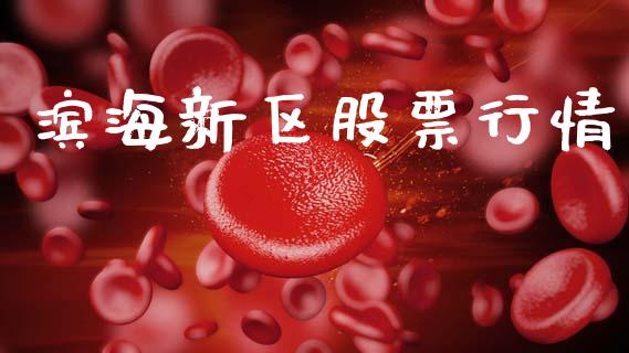 滨海新区股票行情_https://www.kuaijiepai.net_股票理论_第1张