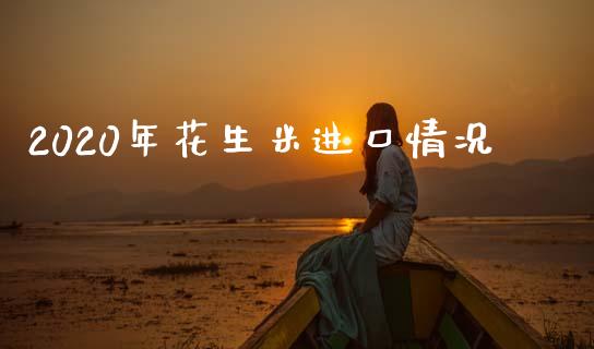 2020年花生米进口情况_https://www.kuaijiepai.net_期货资讯_第1张