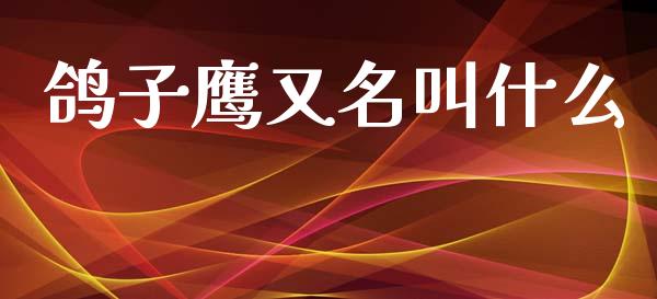 鸽子鹰又名叫什么_https://www.kuaijiepai.net_国际股建_第1张