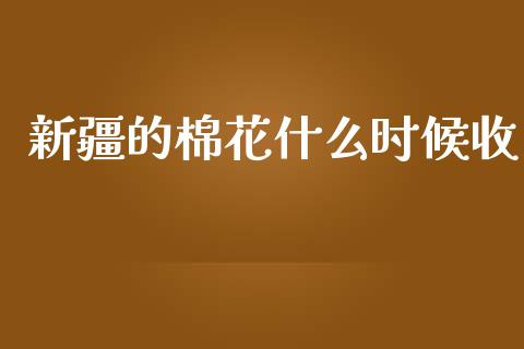 新疆的棉花什么时候收_https://www.kuaijiepai.net_期货理财_第1张